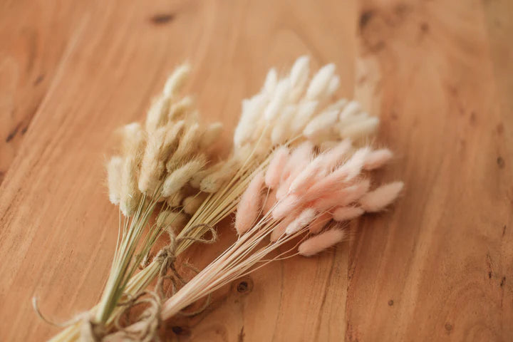 Bunny Tails Bundles