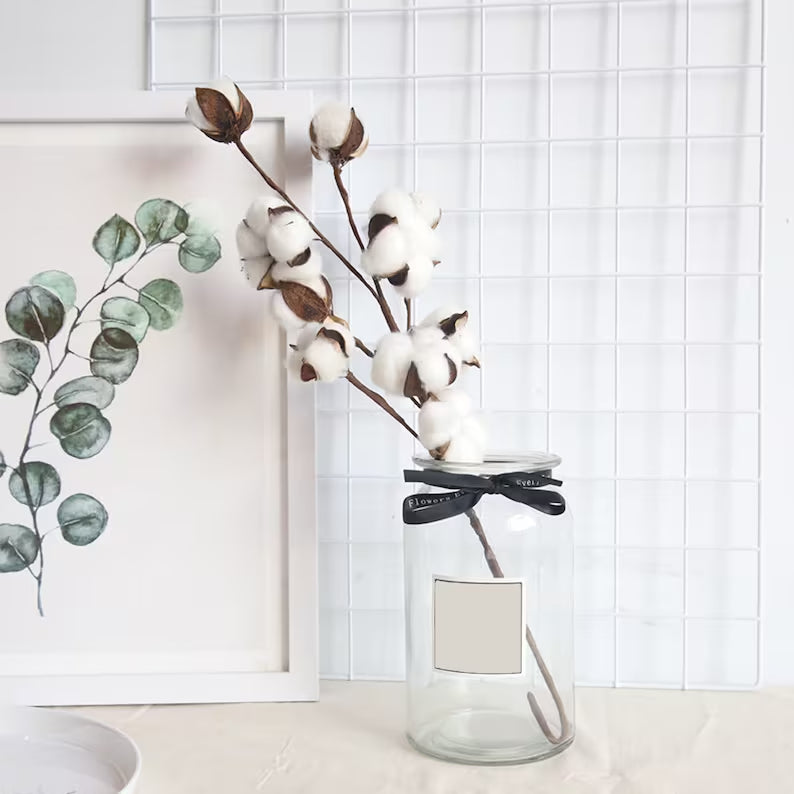 Fresh Cotton Stem
