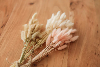 Bunny Tails Bundles