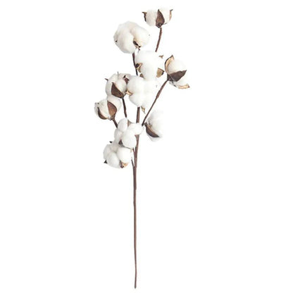 Fresh Cotton Stem